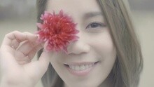獨自欣賞美麗