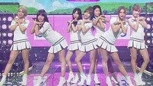 AOA - Heart Attack 現場版