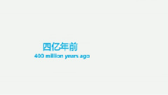 物種物語