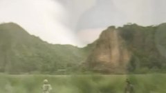記得忘記 & 再生花