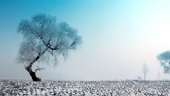 最美中國之長白山松花江