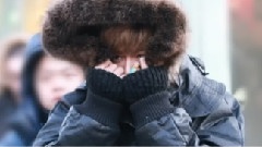幼齒電臺之