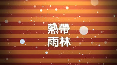 愛上馬戲團團長