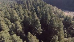 美國之旅