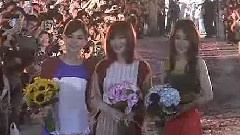 花又開好了