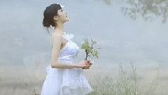 綠野仙蹤