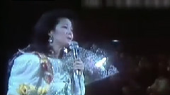 鄧麗君逝世16周年