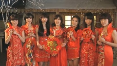 賀歲致七葉草