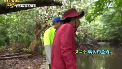 叢林法則之小火鳳 E04