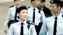 TVB職業劇群像(主警匪)
