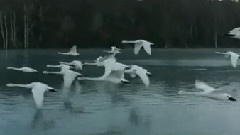 春風祭