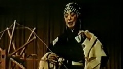 仙姿香韻領群芳