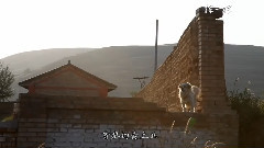 揮一揮手