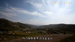 唱花兒的花兒