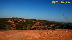 丁香花兒開