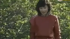 情義兩心堅