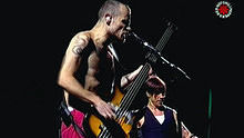 Red Hot Chili Peppers - So Much I 現場版