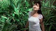 陶晶瑩《依賴》 官方版