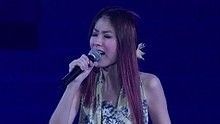 陳慧琳《對你太在乎》 演唱會版
