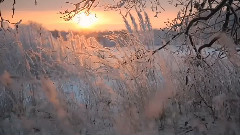 莫斯科郊外的晚上