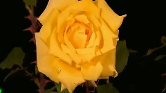 神奇的大自然延時攝影