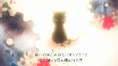 黒貓