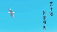 你好,22歲的黃子韜 (黃子韜0502生日快樂)