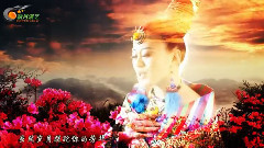 夢中的雪連花