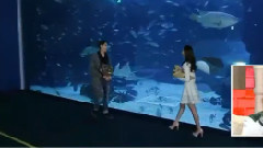 我們結婚了-宣言夫婦 EP02 交換約會 確定假想結婚對象
