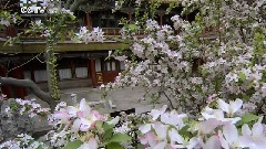 御花園