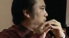 棗園春色