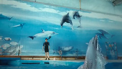 青春與愛情