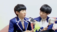 一個像夏天一個像秋天