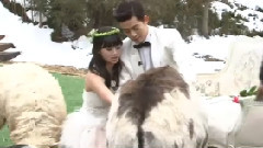 我們結婚了