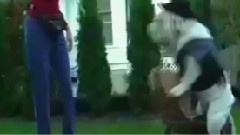 使勁搖,斗牛犬坐木馬
