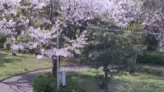 未來